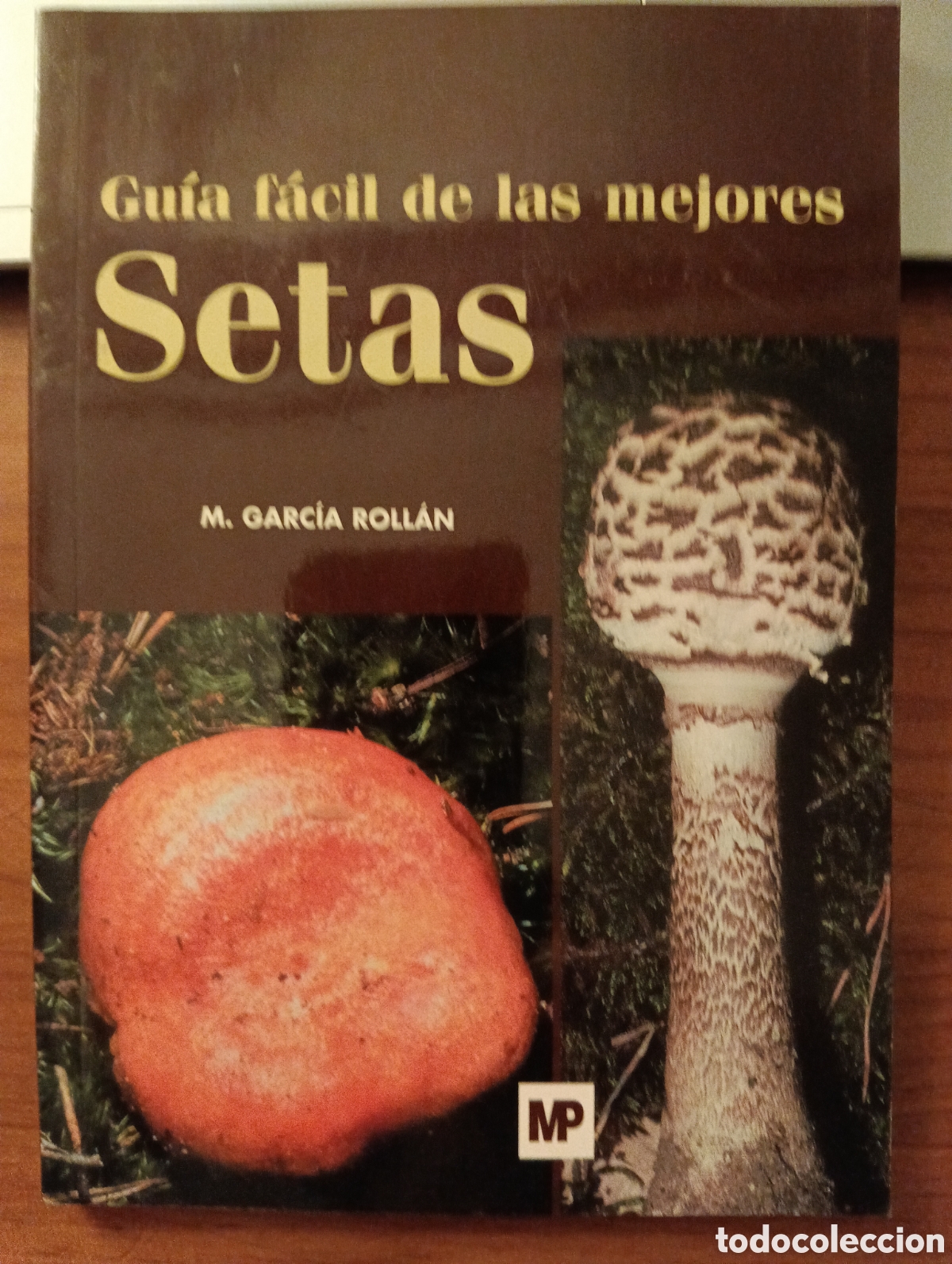 Libros de segunda mano: Gu&iacute;a f&aacute;cil de las mejores setas, M. Garc&iacute;a Roll&aacute;n