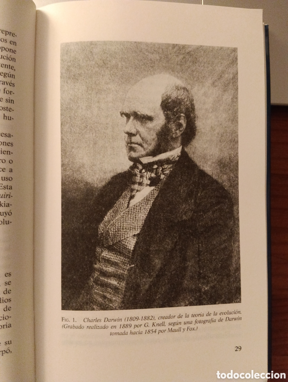 Libros de segunda mano: La Teor&iacute;a de la evoluci&oacute;n, Francisco J. Ayala - Foto 2