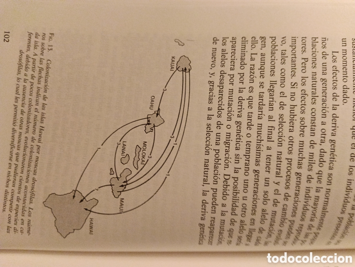 Libros de segunda mano: La Teor&iacute;a de la evoluci&oacute;n, Francisco J. Ayala - Foto 7
