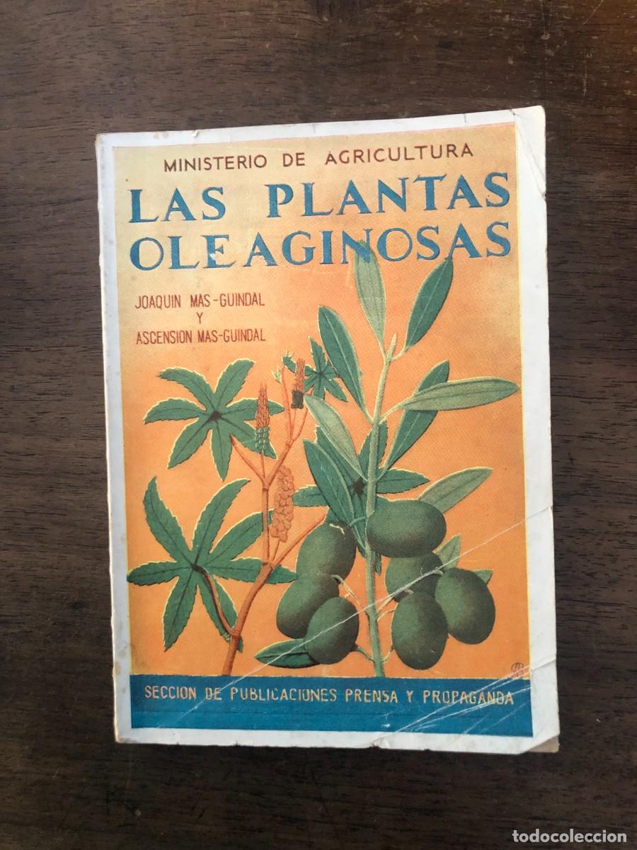 Libros de segunda mano: LAS PLANTAS OLEAGINOSAS POR JOAQU&Iacute;N Y ASCENSI&Oacute;N MAS-GUINDAL