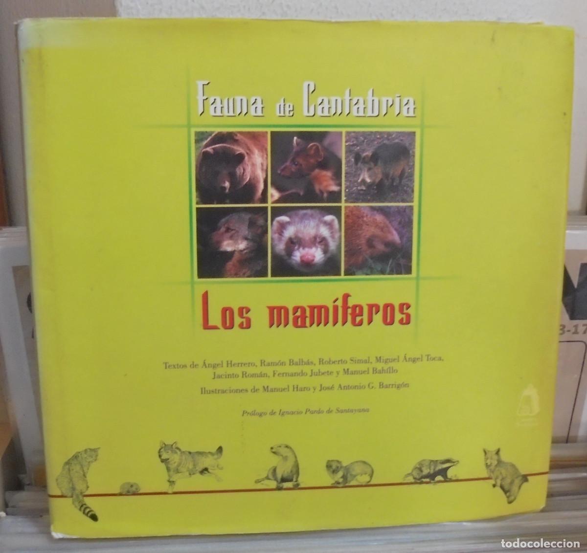 Libros de segunda mano: Fauna de Cantabria. Los mam&iacute;feros