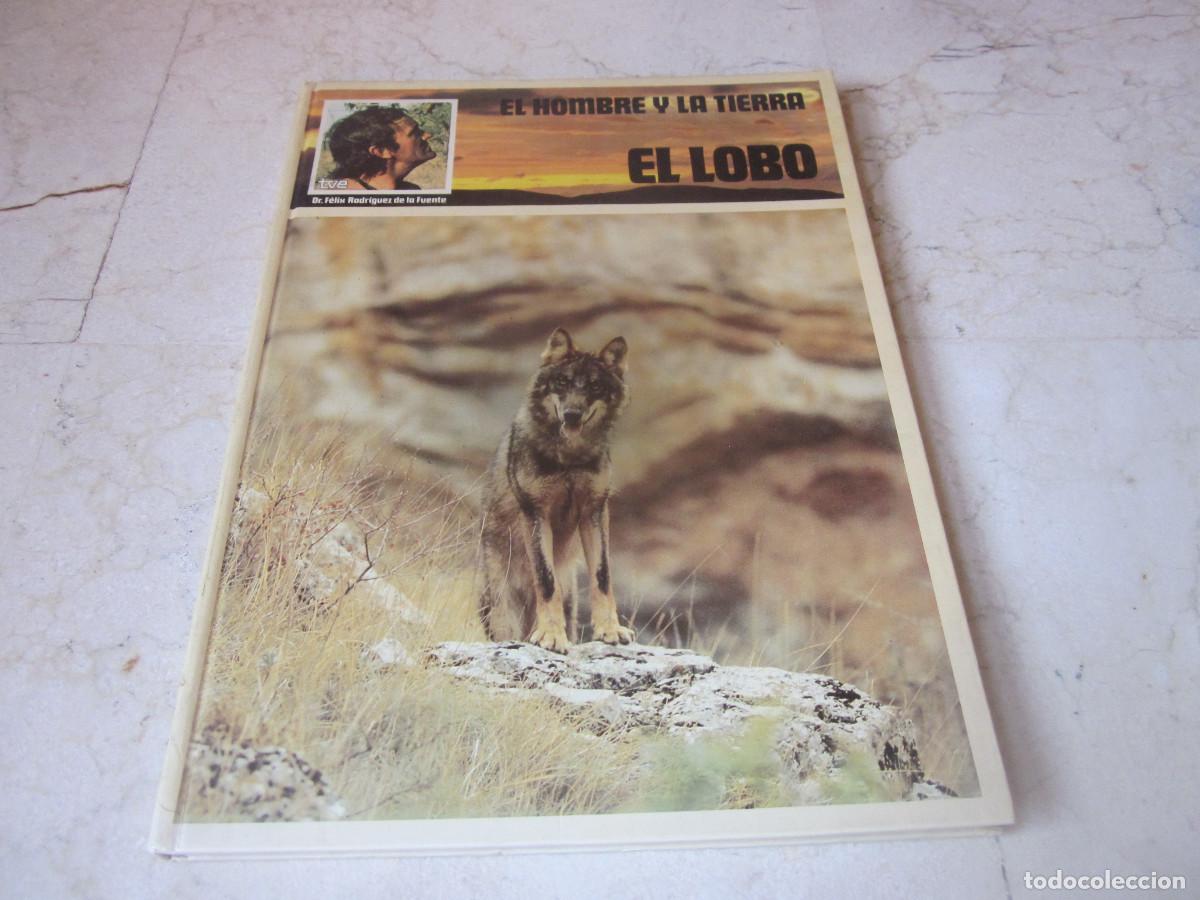 Libros de segunda mano: FELIX RODRIGUEZ DE LA FUENTE - EL HOMBRE Y LA TIERRA - EL LOBO - VIDORAMA 1978