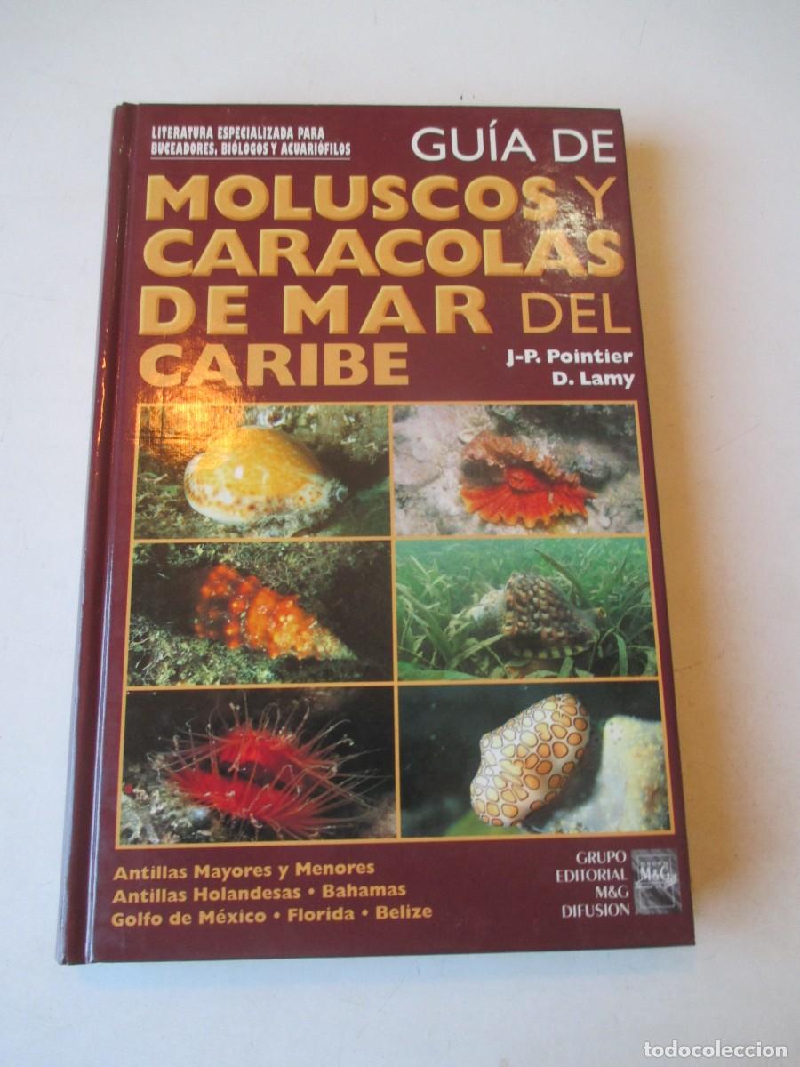 Libros de segunda mano: Gu&iacute;a de moluscos y caracolas de mar en el caribe W42427