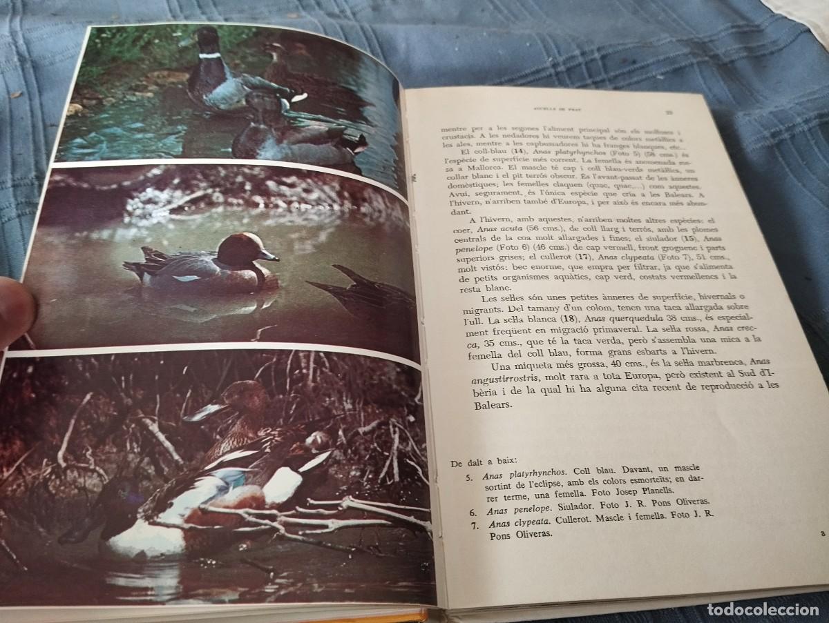 Libros de segunda mano: ELS AUCELLS DE LES BALEARS PER JOAN MAYOL SERRA EDITORIAL MOLL 1978