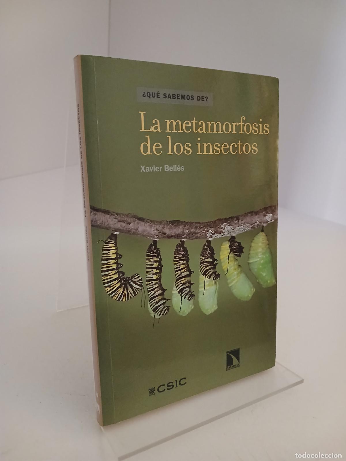 Libros de segunda mano: La Metamorfosis de los insectos - Xavier Bell&eacute;s