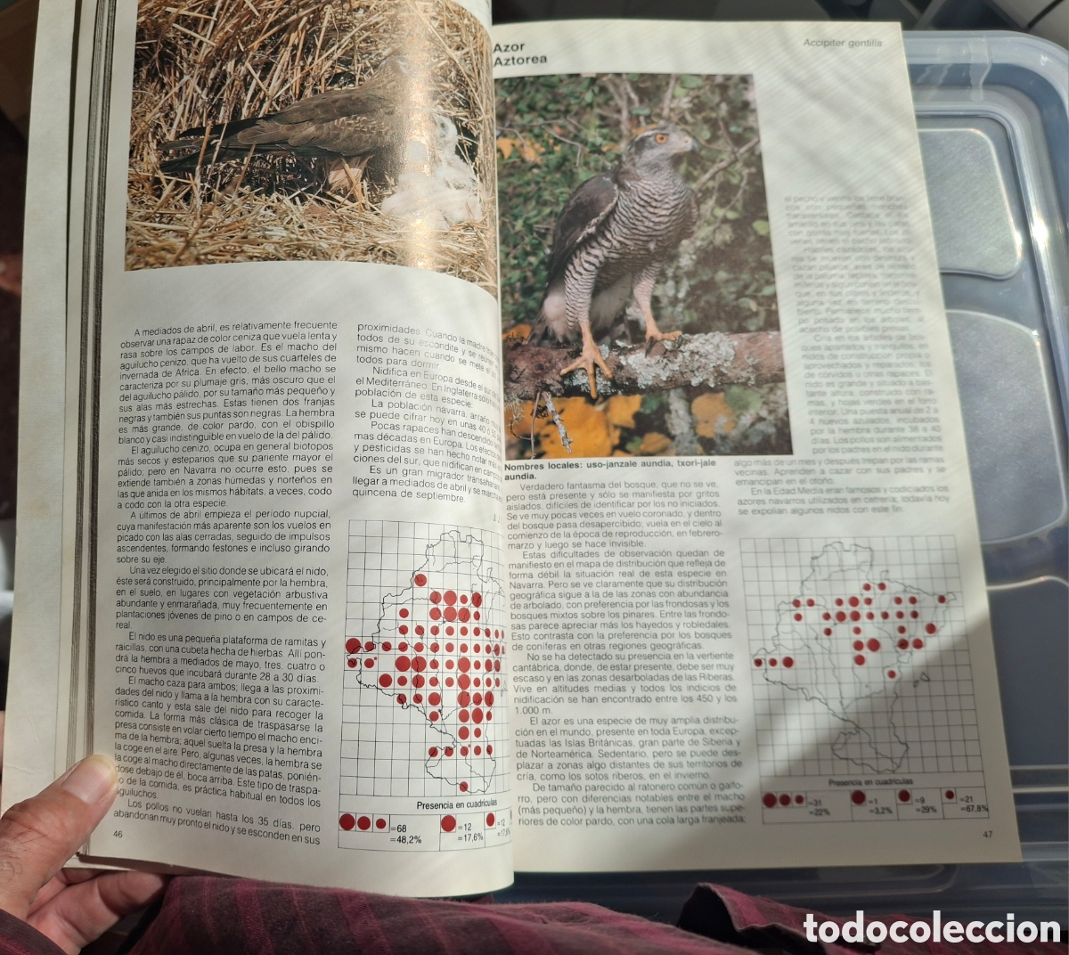 Libros de segunda mano: ATLAS DE LAS AVES NIDIFICANTES DE NAVARRA - Foto 4