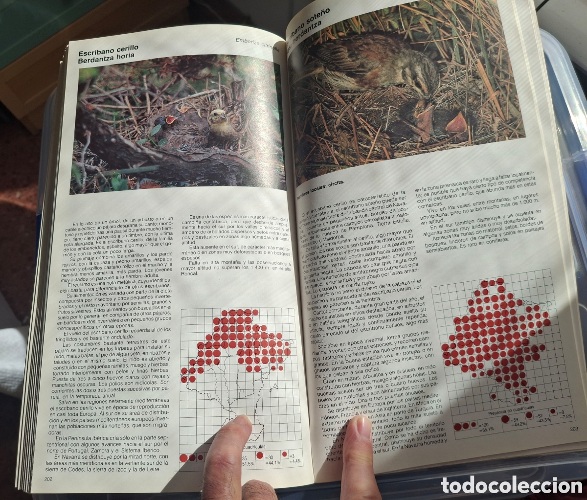 Libros de segunda mano: ATLAS DE LAS AVES NIDIFICANTES DE NAVARRA - Foto 6