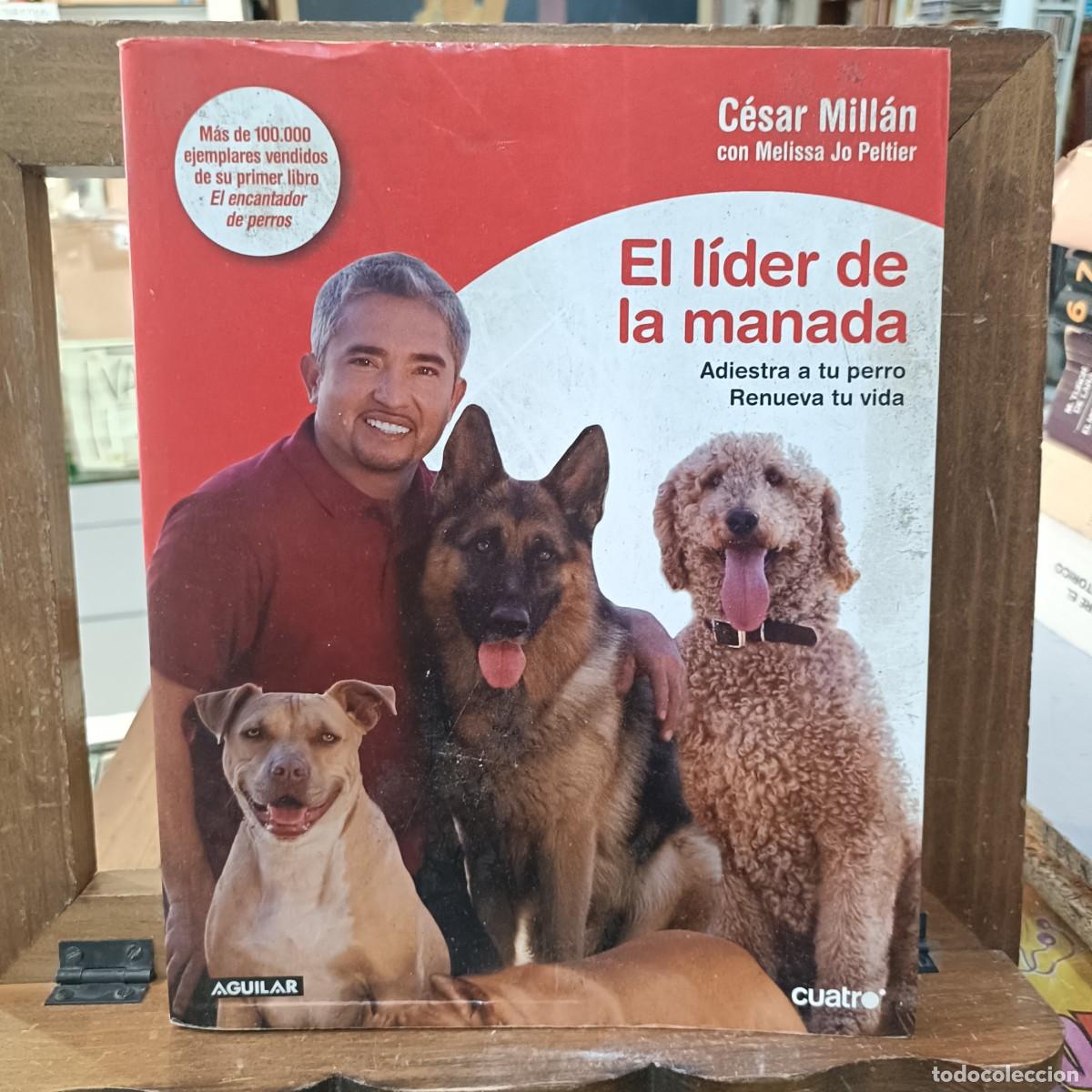 Libros de segunda mano: El L&iacute;der de la manada - C&eacute;sar Mill&aacute;n con Melissa Jo Peltier - Adiestra a tu perro - Ed. Aguilar 2008