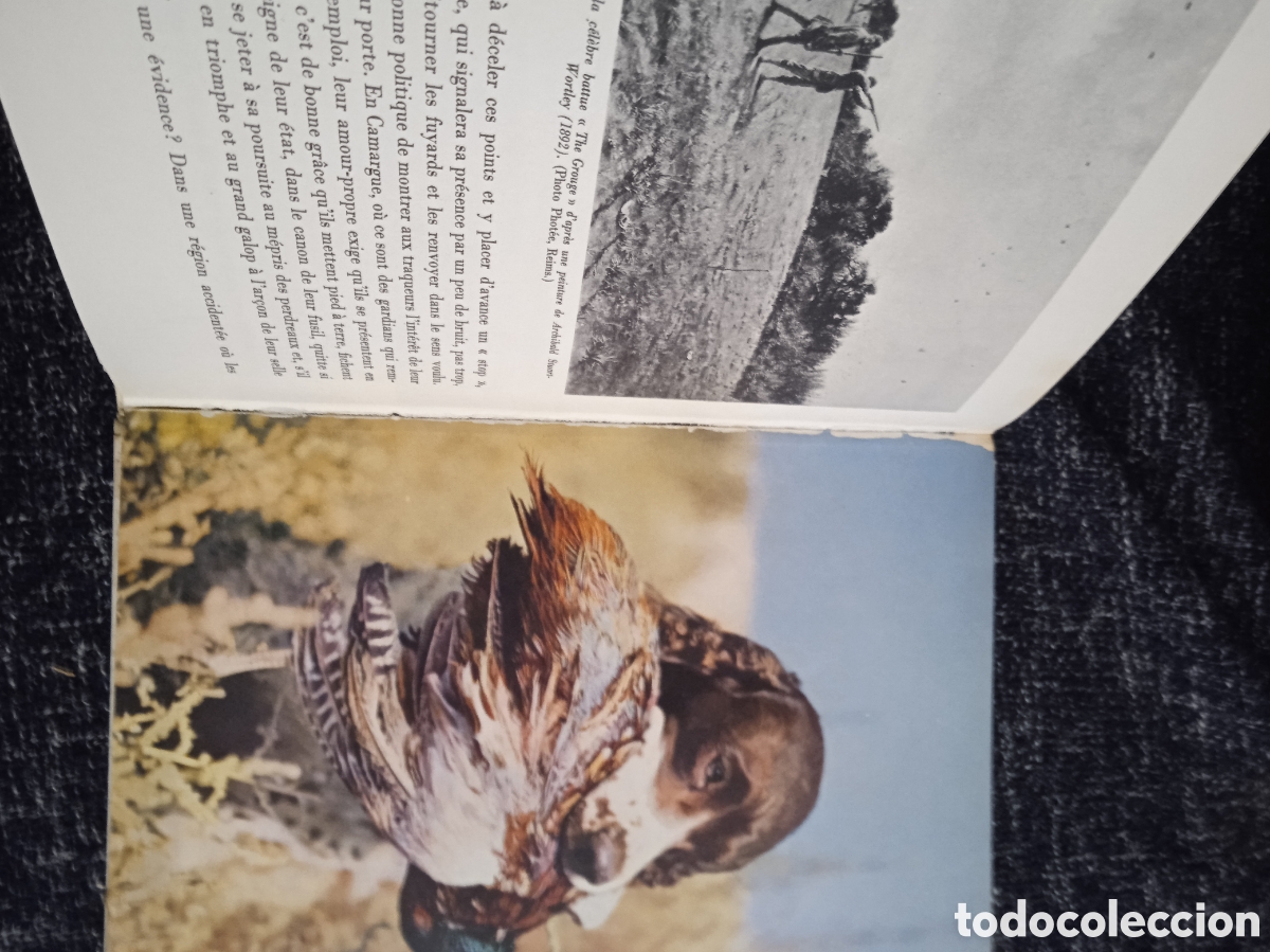 Libros de segunda mano: PLAISIRS DE LA CHASSE / Jacqueline de Chimay - LIBRO DE CAZA EN FRANCES - Foto 3