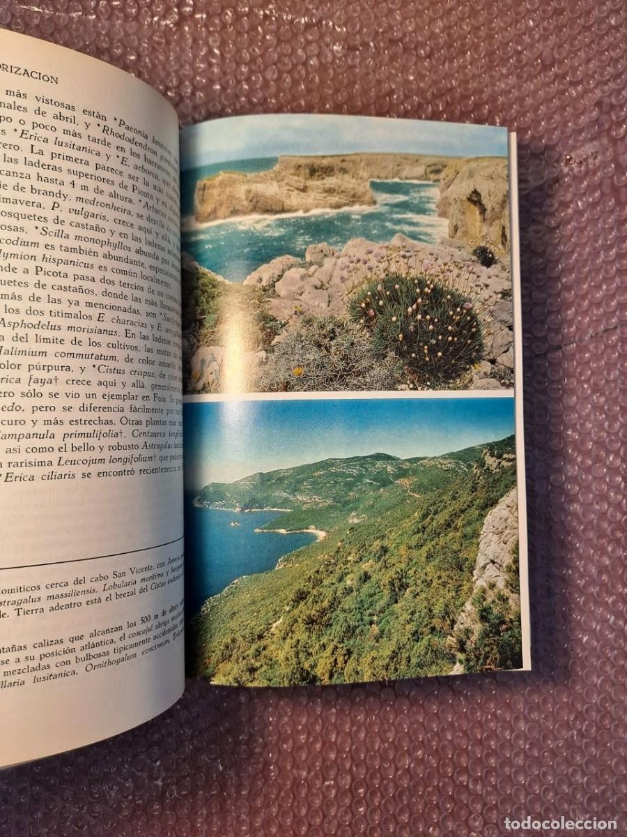 Libros de segunda mano: Guia de campo flores espa&ntilde;a - Foto 6