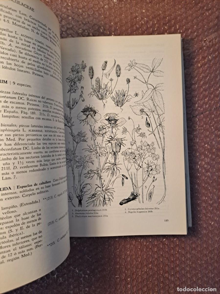 Libros de segunda mano: Guia de campo flores espa&ntilde;a - Foto 7