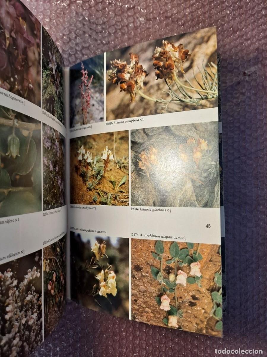 Libros de segunda mano: Guia de campo flores espa&ntilde;a - Foto 8