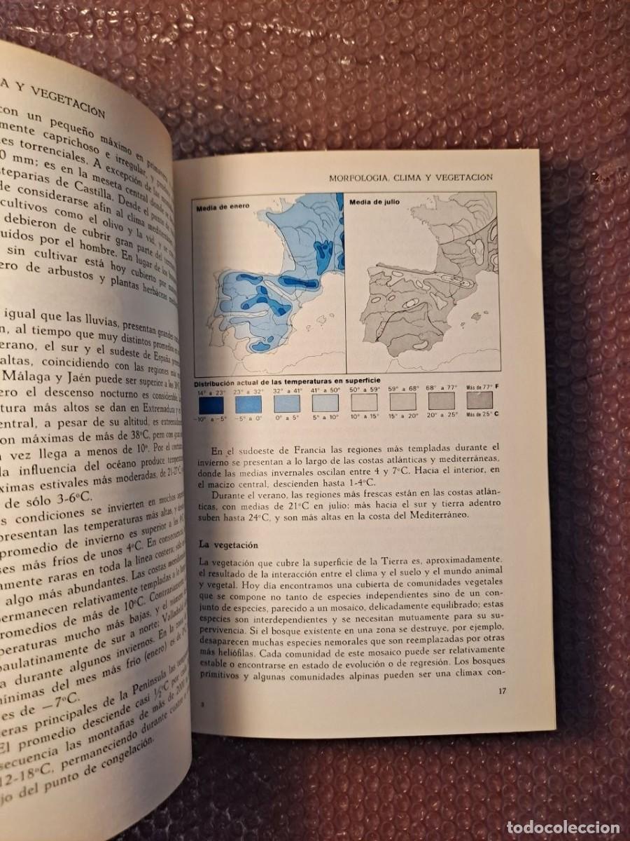 Libros de segunda mano: Guia de campo flores espa&ntilde;a - Foto 9