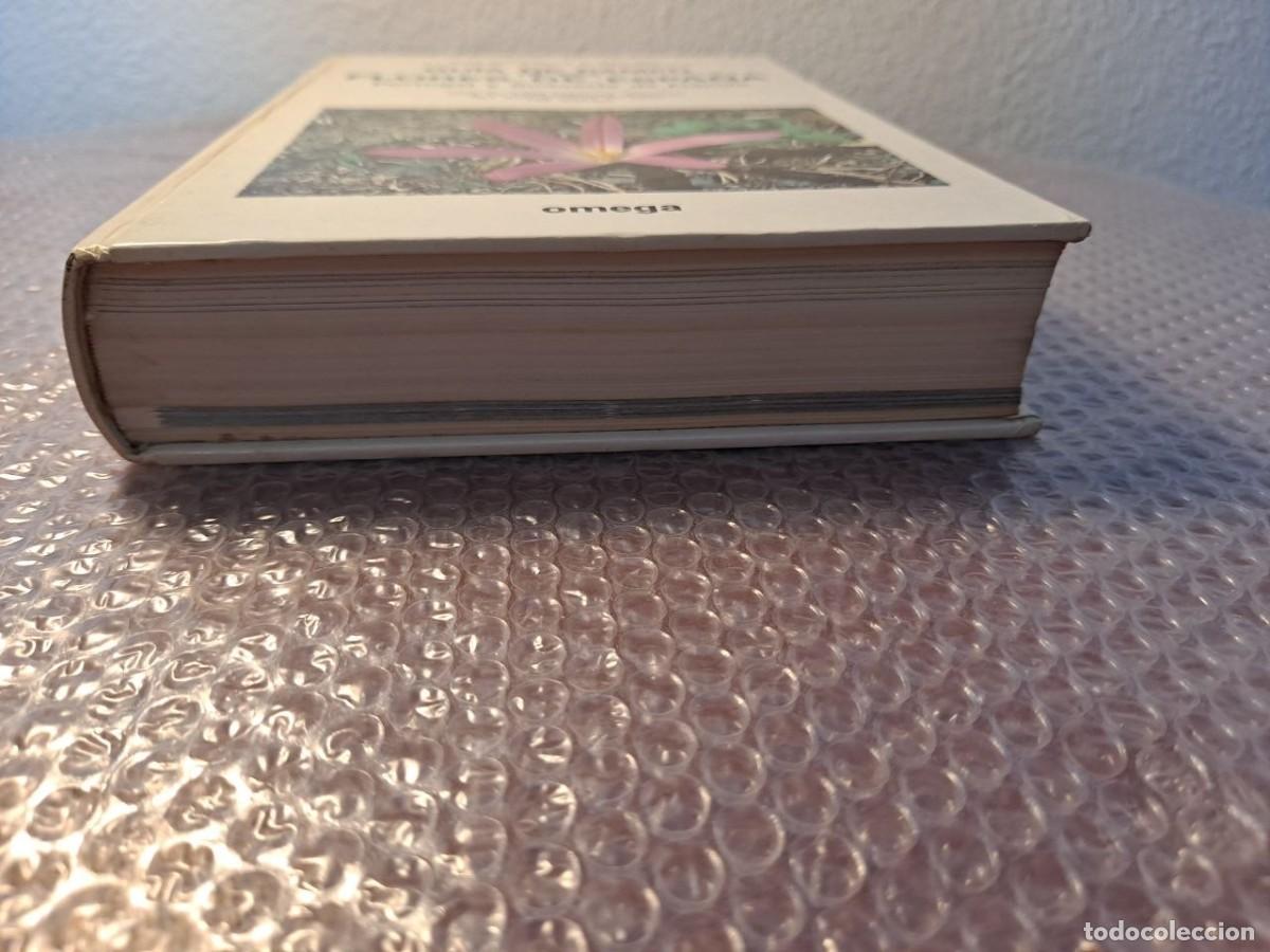 Libros de segunda mano: Guia de campo flores espa&ntilde;a - Foto 10