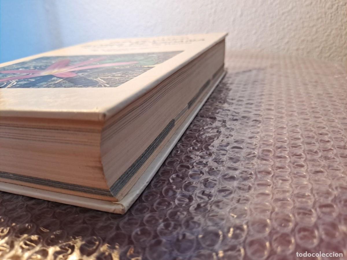 Libros de segunda mano: Guia de campo flores espa&ntilde;a - Foto 11