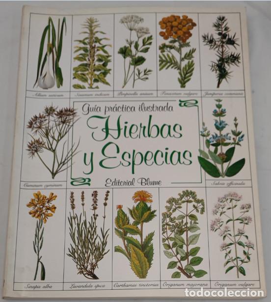 Libros de segunda mano: GU&Iacute;A PR&Aacute;CTICA ILUSTRADA, HIERBAS Y ESPECIAS, EDITORIAL BLUME, LIBRO