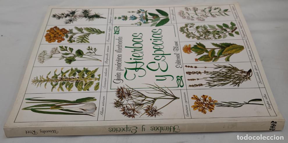 Libros de segunda mano: GU&Iacute;A PR&Aacute;CTICA ILUSTRADA, HIERBAS Y ESPECIAS, EDITORIAL BLUME, LIBRO - Foto 2