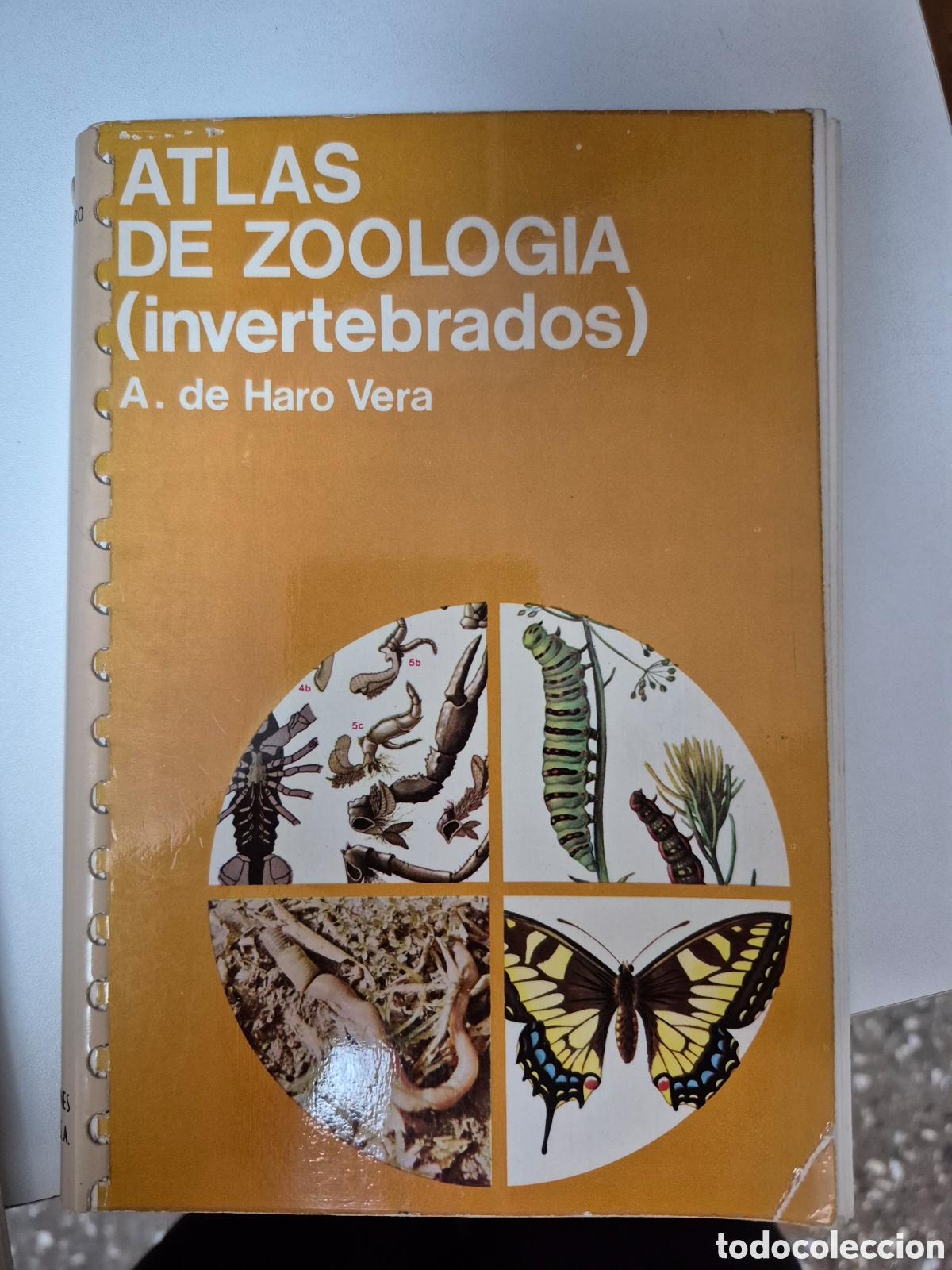 Libros de segunda mano: ATLAS DE ZOOLOGIA (INVERTEBRATS) - Foto 1