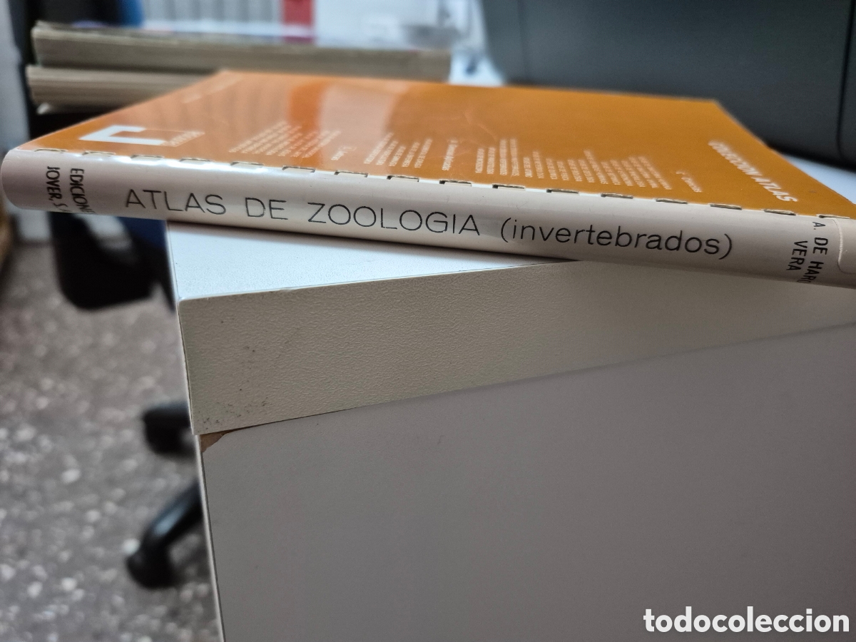 Libros de segunda mano: ATLAS DE ZOOLOGIA (INVERTEBRATS) - Foto 3