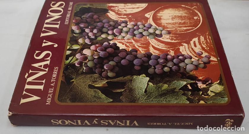 Libros de segunda mano: VI&Ntilde;AS Y VINOS, MIGUEL A.TORRES, EDITORIAL BLUME 1978, LIBRO - Foto 2