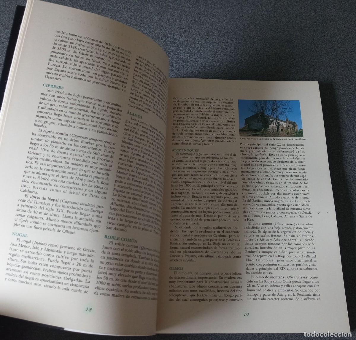 Libros de segunda mano: &Aacute;rboles Y Arboledas Singulares En La Rioja - Foto 7