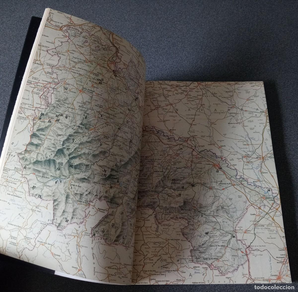 Libros de segunda mano: &Aacute;rboles Y Arboledas Singulares En La Rioja - Foto 8