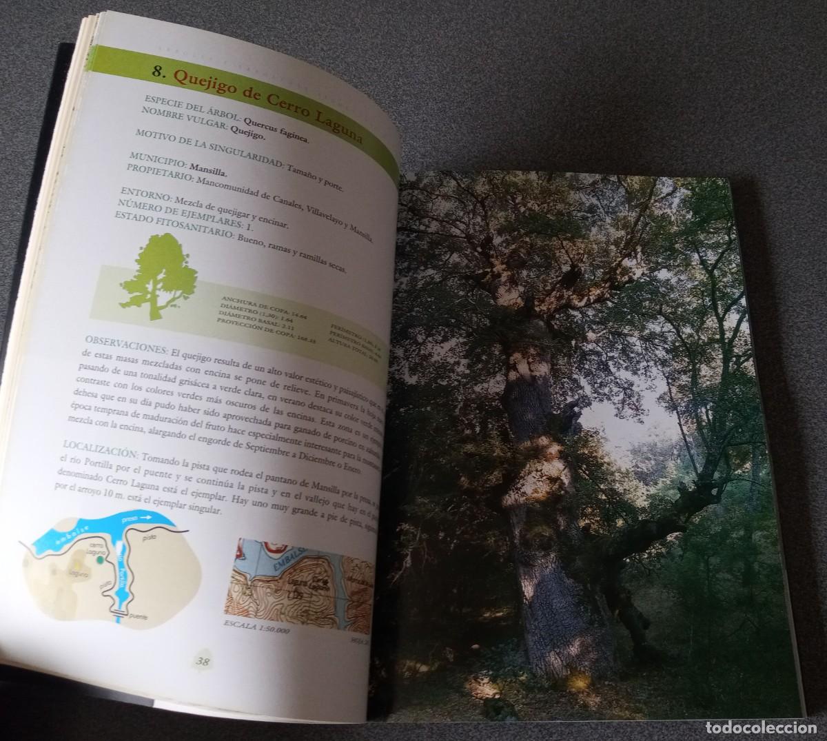 Libros de segunda mano: &Aacute;rboles Y Arboledas Singulares En La Rioja - Foto 9