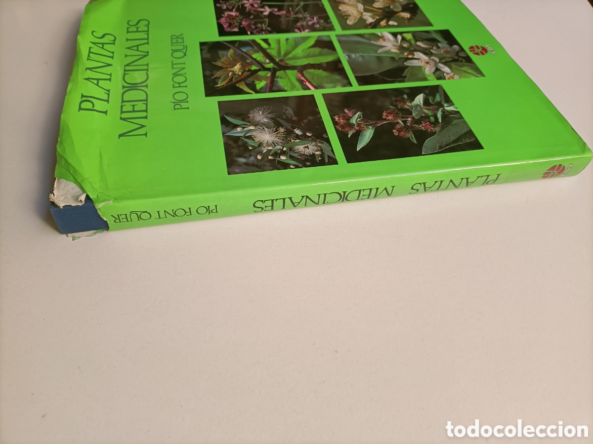 Libros de segunda mano: Plantas medicinales. Pio Font Quer. Salud bienestar - Foto 2