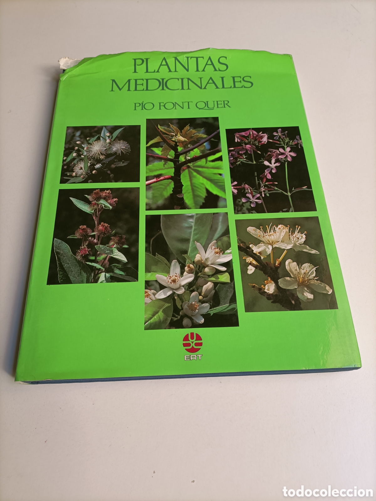 Libros de segunda mano: Plantas medicinales. Pio Font Quer. Salud bienestar