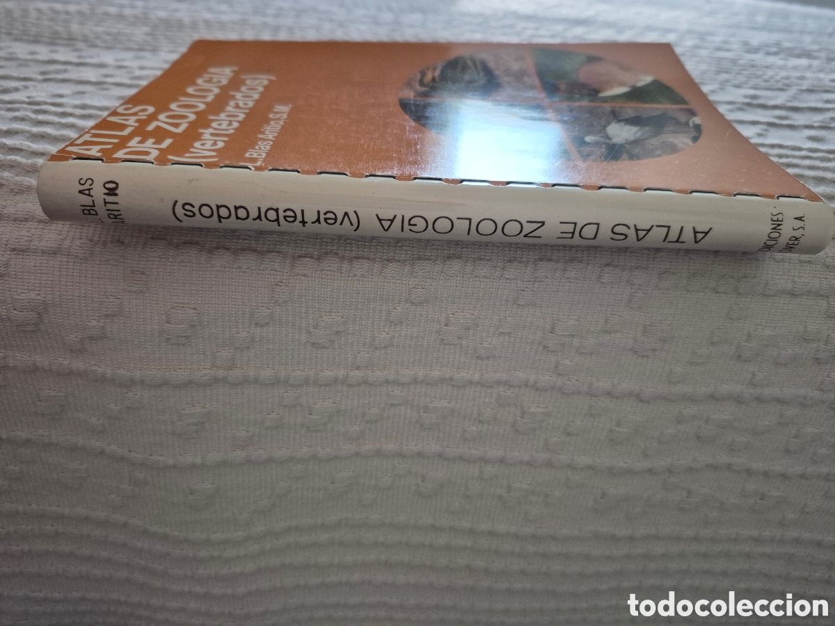 Libros de segunda mano: Atlas de zoologia (vertebrados) - Foto 3