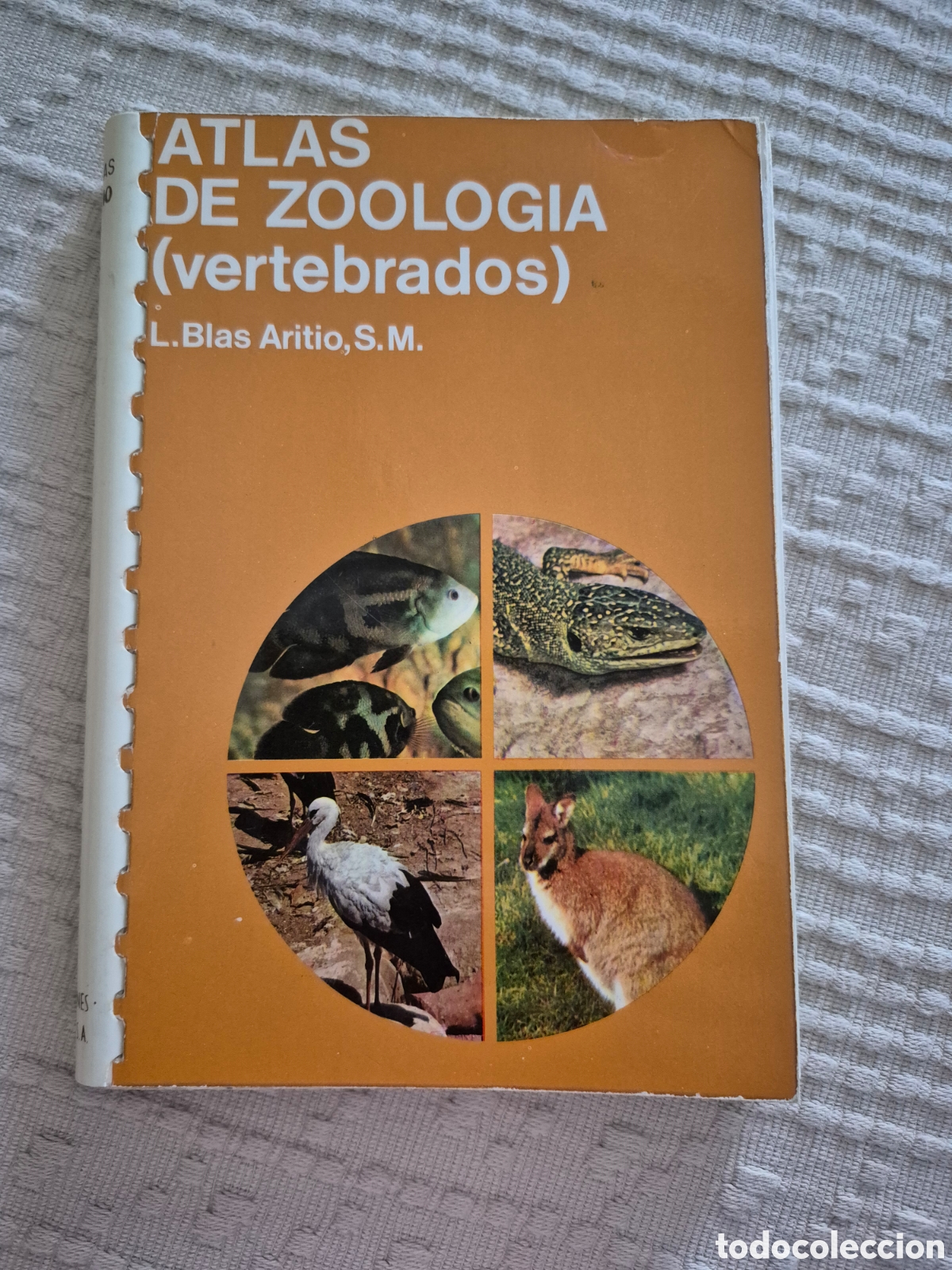 Libros de segunda mano: Atlas de zoologia (vertebrados)