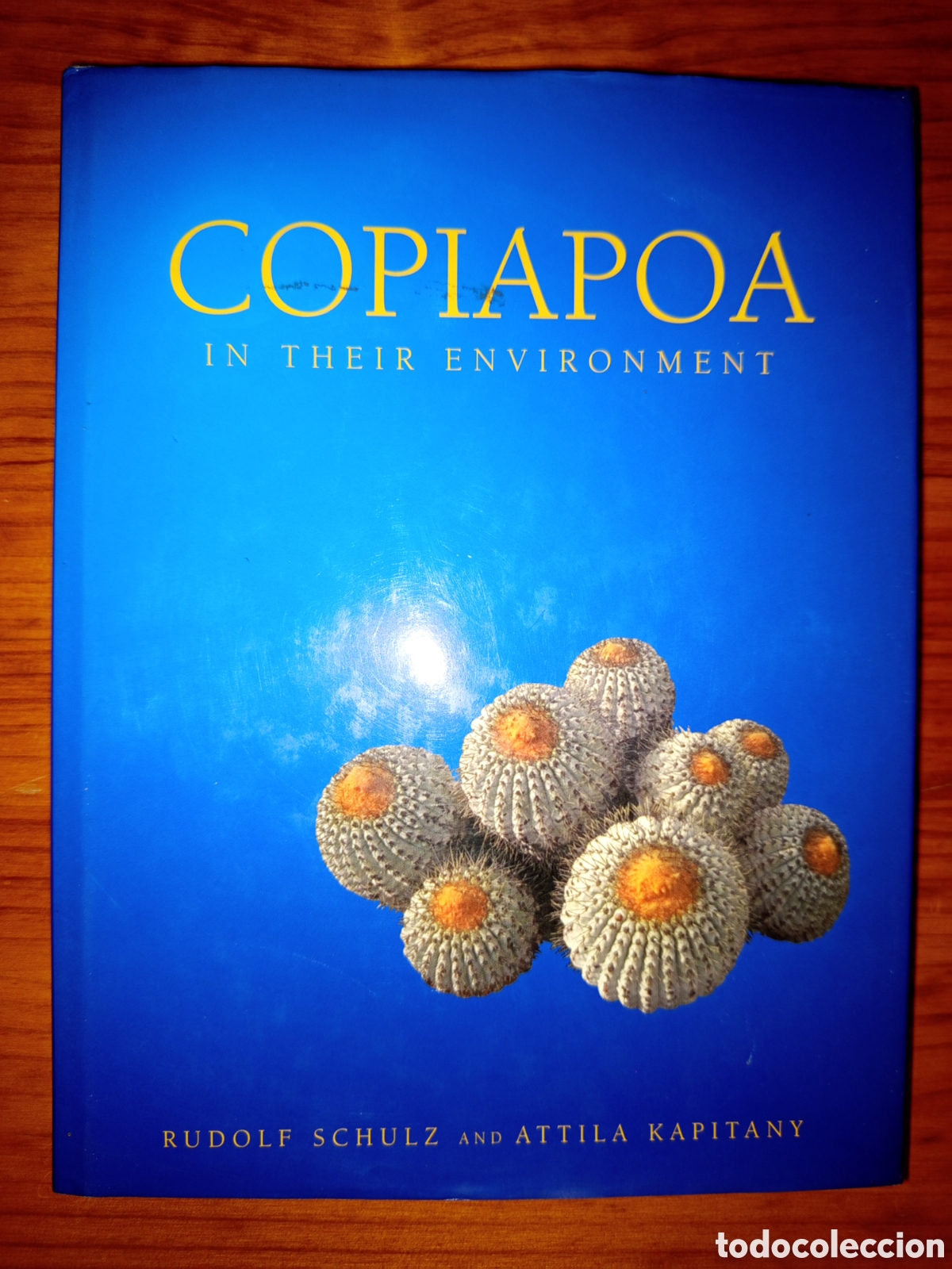 Libros de segunda mano: COPIAPOA IN THEIR ENVIRONMENT. CHA&Ntilde;ARAL TO EL COBRE (RUDOLF SCHULZ / A. KAPITANY) LIMITED EDITION