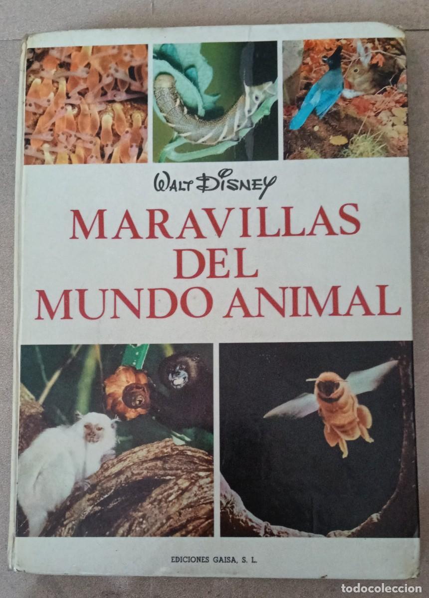 Libros de segunda mano: Maravillas del Mundo Animal - Walt Disney / Ediciones Gaisa (1968). Tapa Dura.