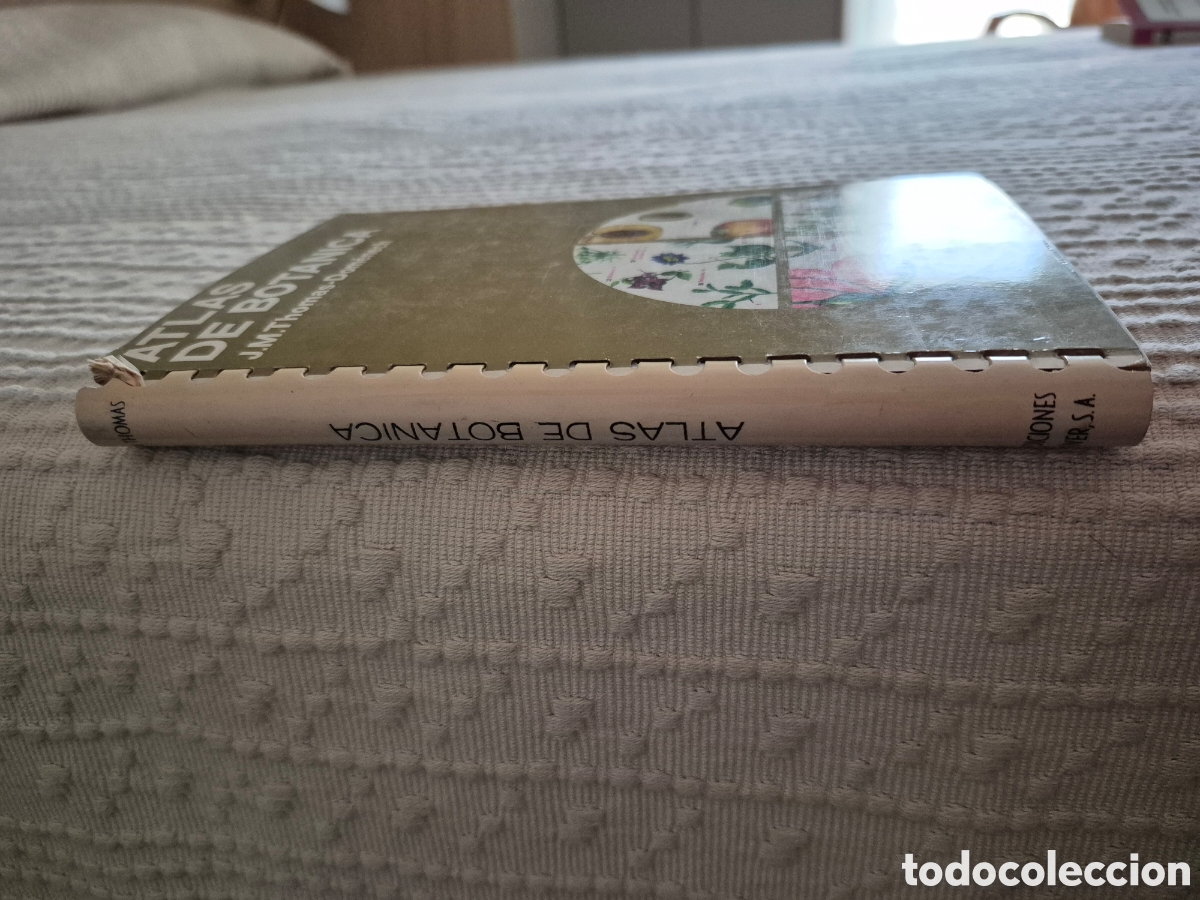 Libros de segunda mano: Atlas de bot&agrave;nica J. M. Thomas- Domenech - Foto 3
