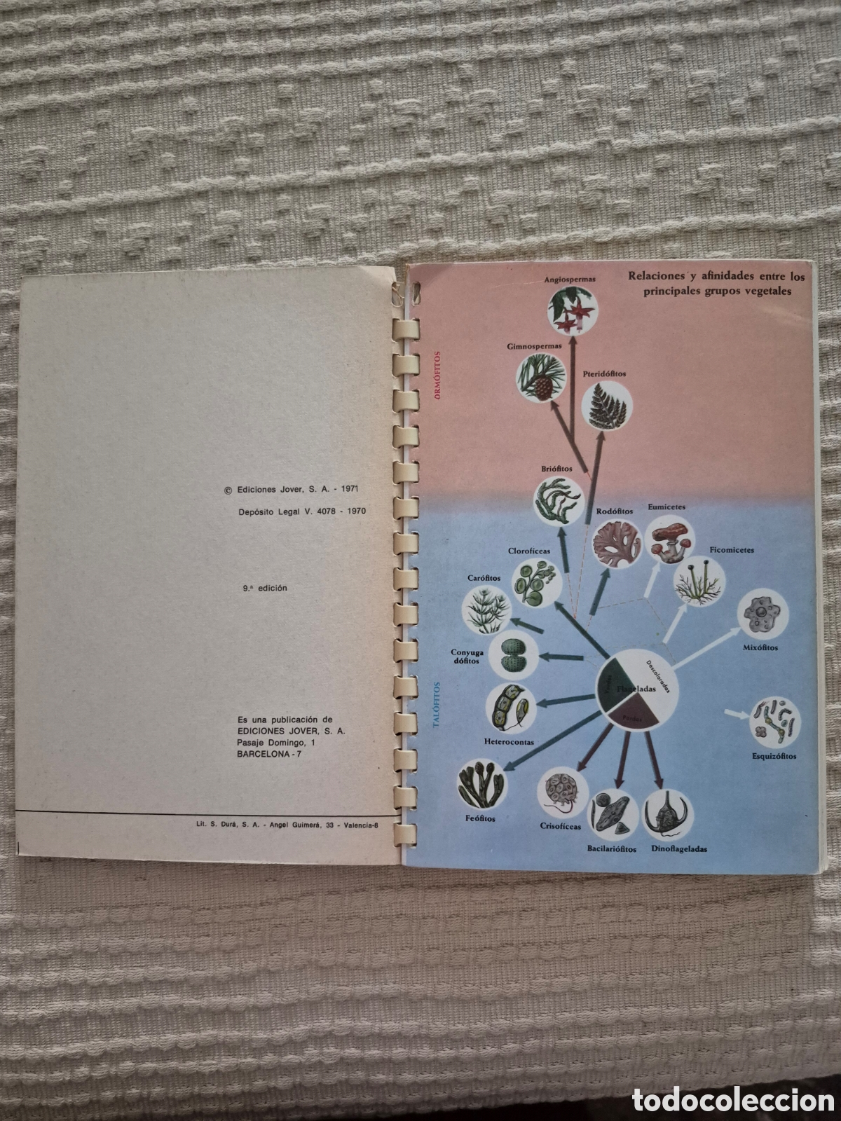 Libros de segunda mano: Atlas de bot&agrave;nica J. M. Thomas- Domenech - Foto 4