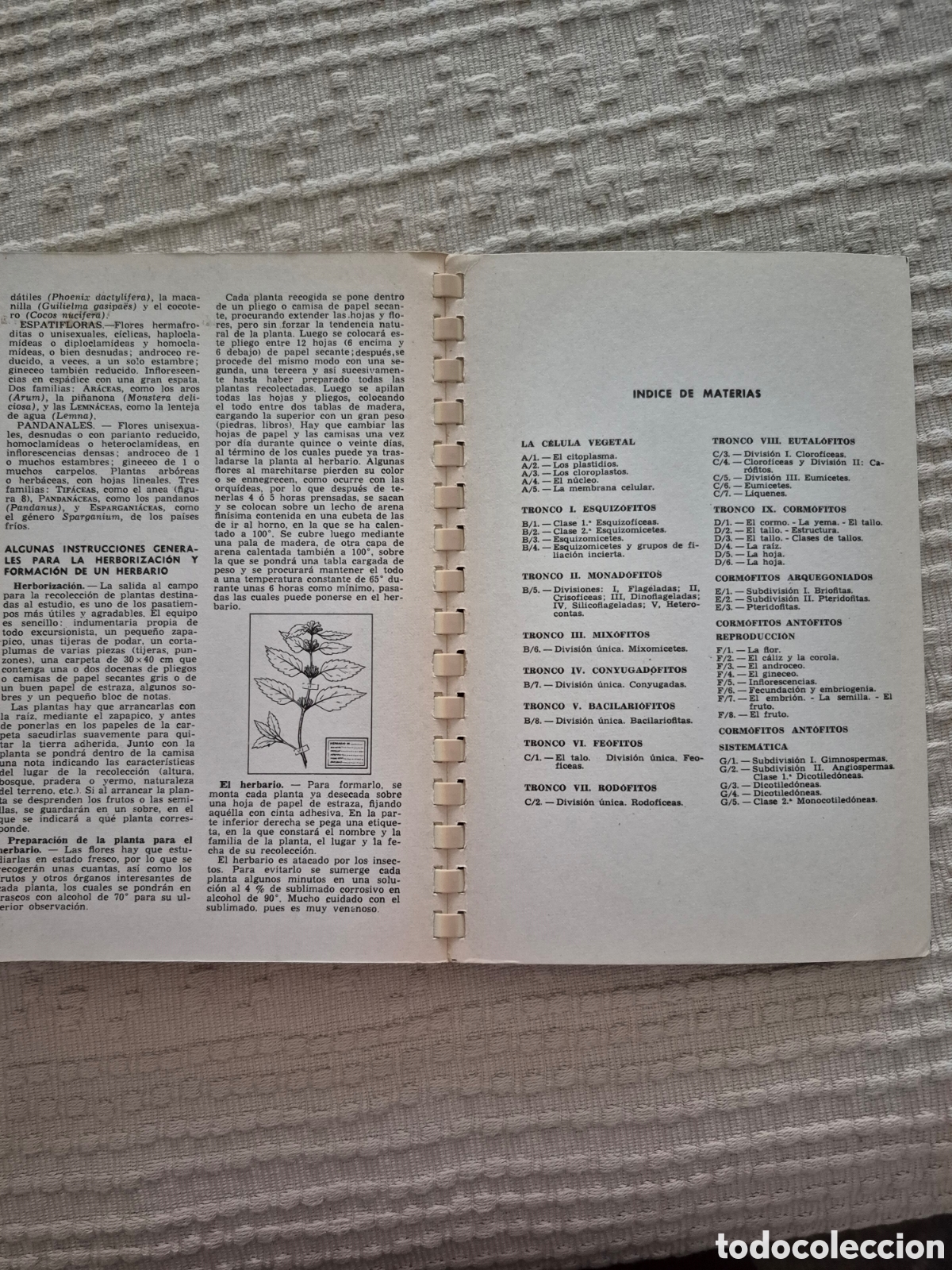Libros de segunda mano: Atlas de bot&agrave;nica J. M. Thomas- Domenech - Foto 7