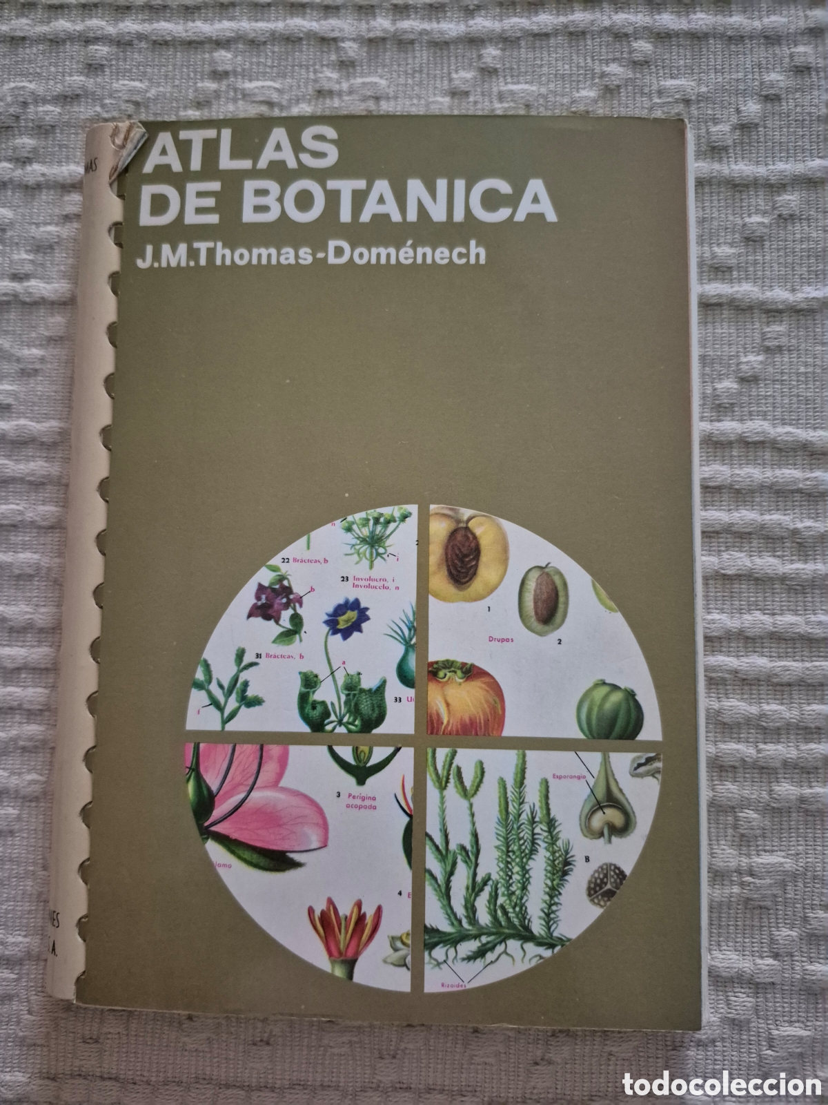 Libros de segunda mano: Atlas de bot&agrave;nica J. M. Thomas- Domenech - Foto 1