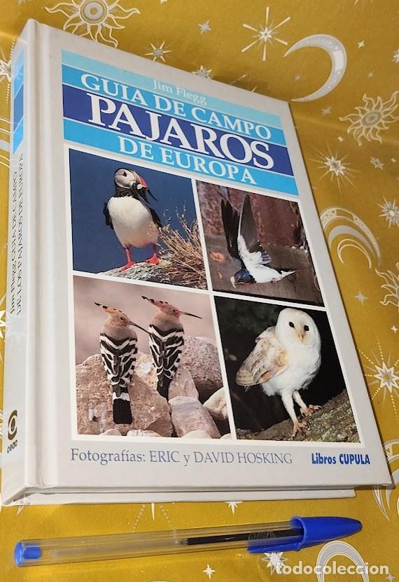 Libros de segunda mano: Gu&iacute;a de Campo. P&aacute;jaros de Europa - Jim Flegg - Fotograf&iacute;as Eric y David Hosking - Libros C&uacute;pula 1992