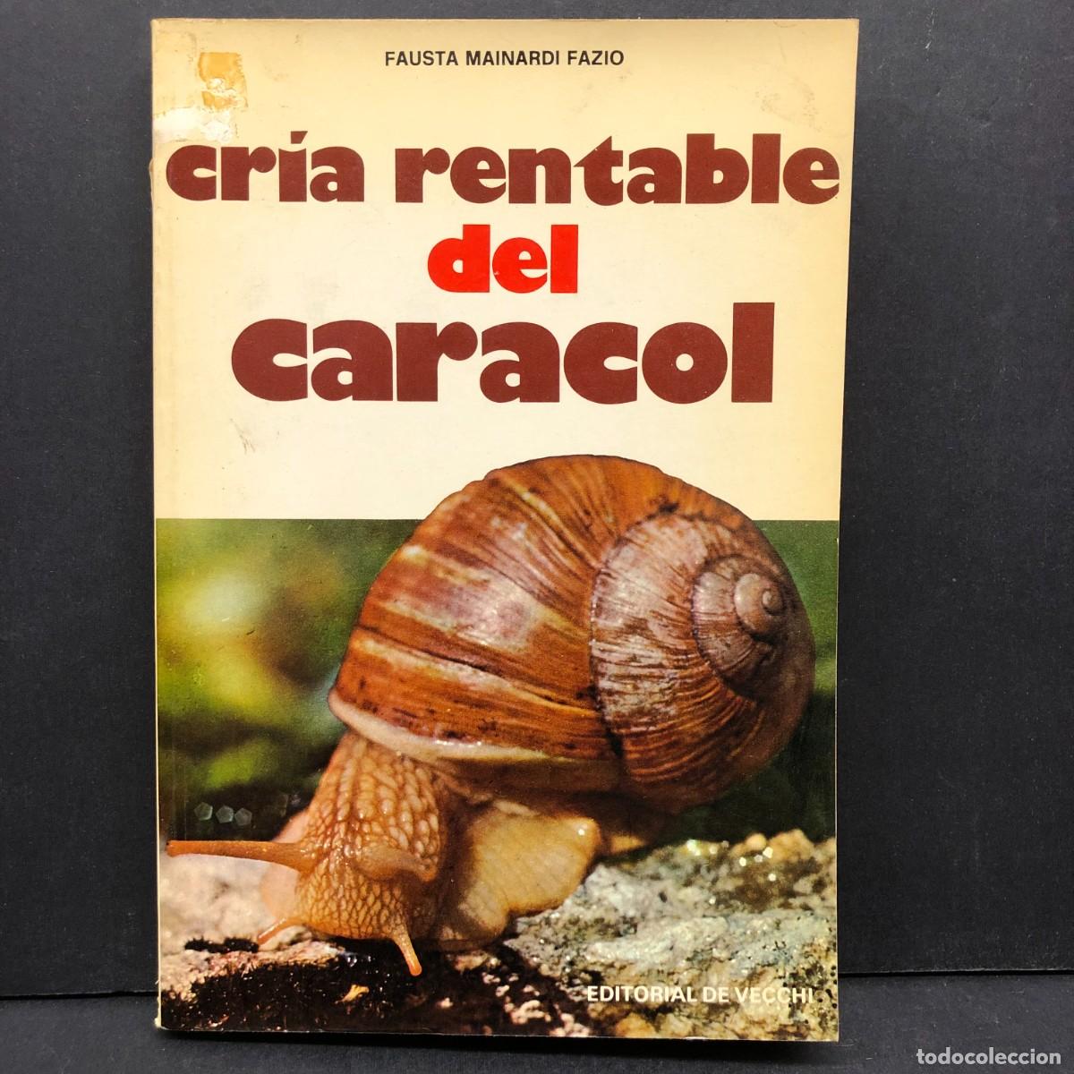 Libros de segunda mano: CR&Iacute;A RENTABLE DEL CARACOL - FAUSTA MAINARDI FAZIO - EDITORIAL DE VECCHI / 156