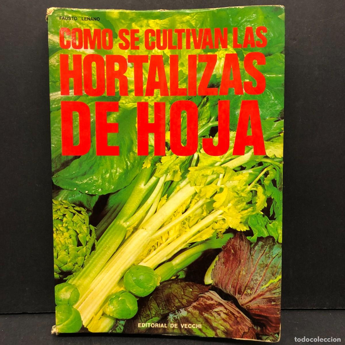 Libros de segunda mano: COMO SE CULTIVAN LAS HORTALIZAS DE HOJA - FAUSTO LE&Ntilde;ANO - EDITORIAL DE VECCHI / 157