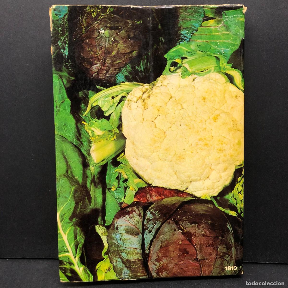 Libros de segunda mano: COMO SE CULTIVAN LAS HORTALIZAS DE HOJA - FAUSTO LE&Ntilde;ANO - EDITORIAL DE VECCHI / 157 - Foto 2
