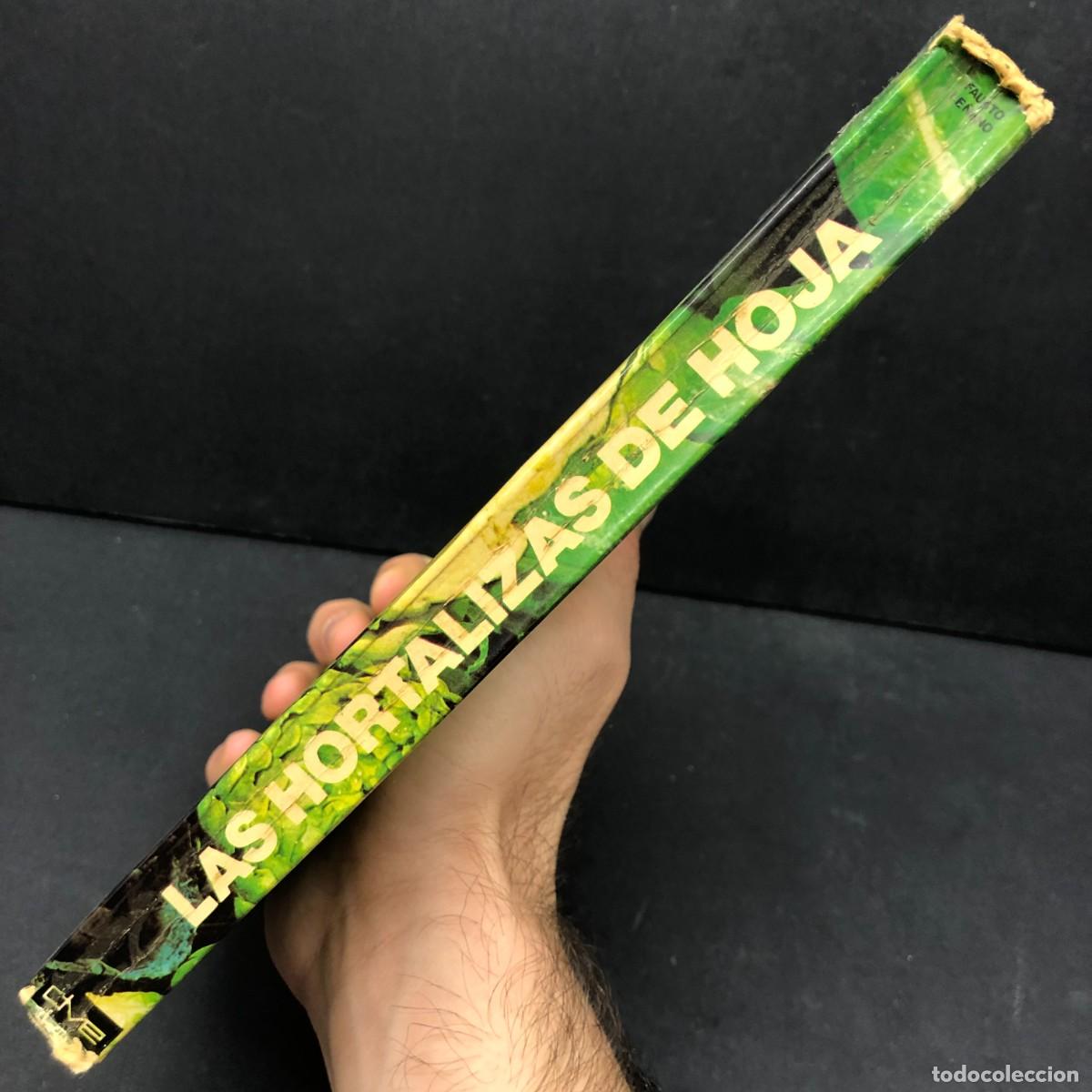 Libros de segunda mano: COMO SE CULTIVAN LAS HORTALIZAS DE HOJA - FAUSTO LE&Ntilde;ANO - EDITORIAL DE VECCHI / 157 - Foto 3