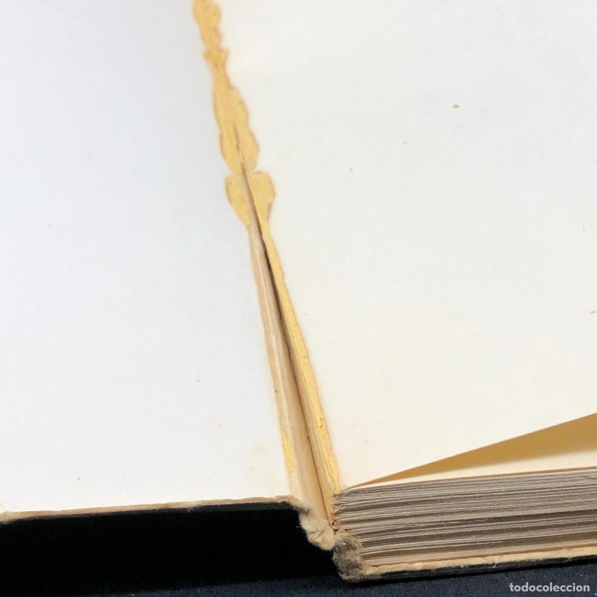 Libros de segunda mano: COMO SE CULTIVAN LAS HORTALIZAS DE HOJA - FAUSTO LE&Ntilde;ANO - EDITORIAL DE VECCHI / 157 - Foto 6