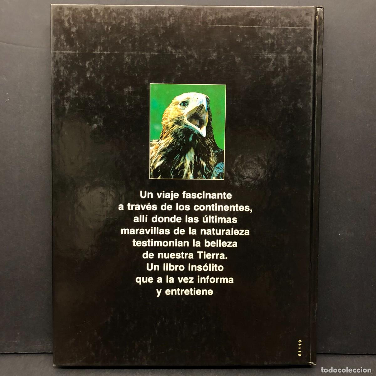 Libros de segunda mano: MARAVILLAS DE LA NATURALEZA - CIRCULO DE LECTORES / 234 - Foto 2