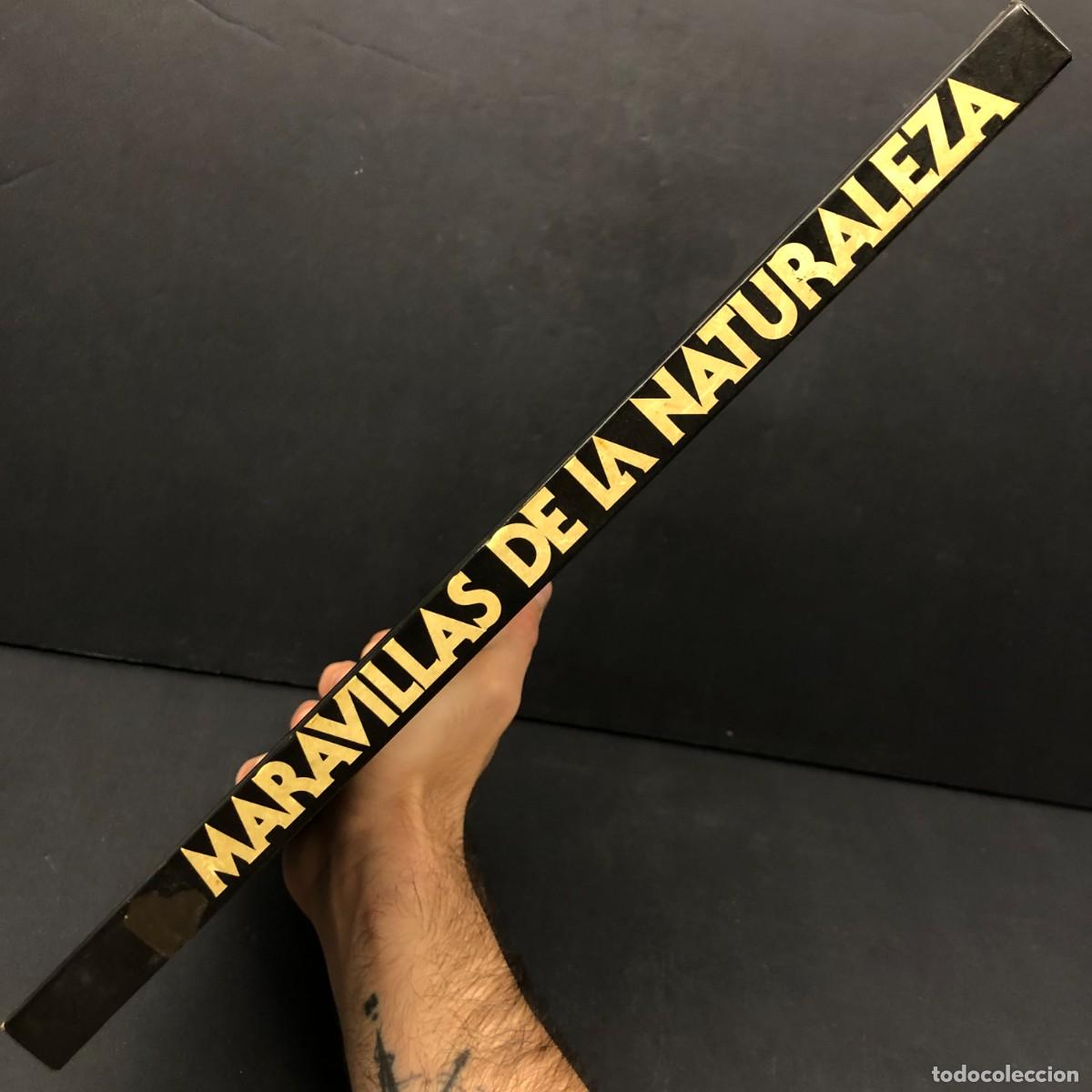 Libros de segunda mano: MARAVILLAS DE LA NATURALEZA - CIRCULO DE LECTORES / 234 - Foto 3