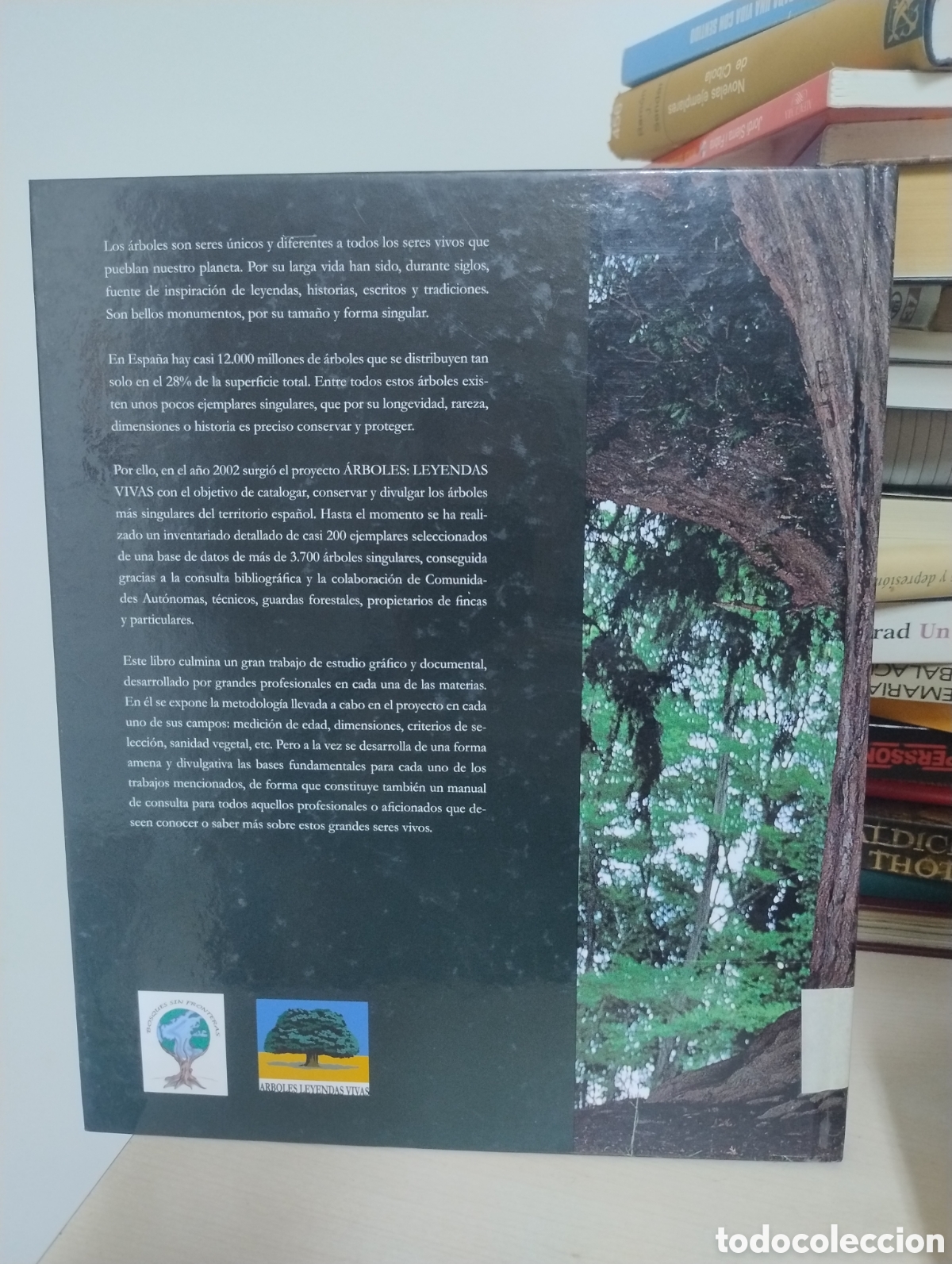 Libros de segunda mano: Gigantes y ancianos de los bosques espa&ntilde;oles &ndash; Libro ilustrado + CD - Foto 2