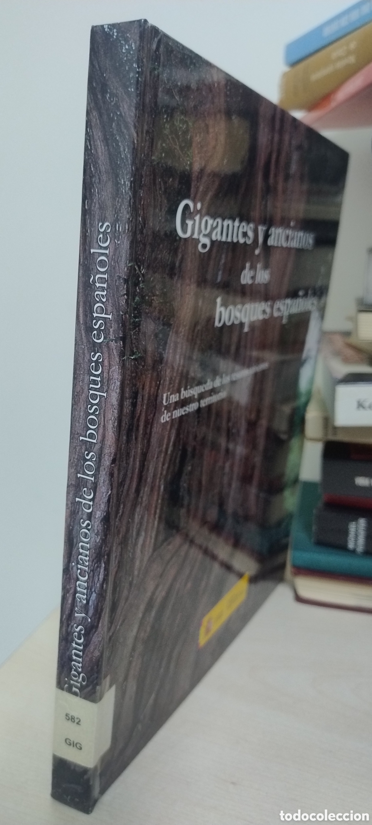 Libros de segunda mano: Gigantes y ancianos de los bosques espa&ntilde;oles &ndash; Libro ilustrado + CD - Foto 3