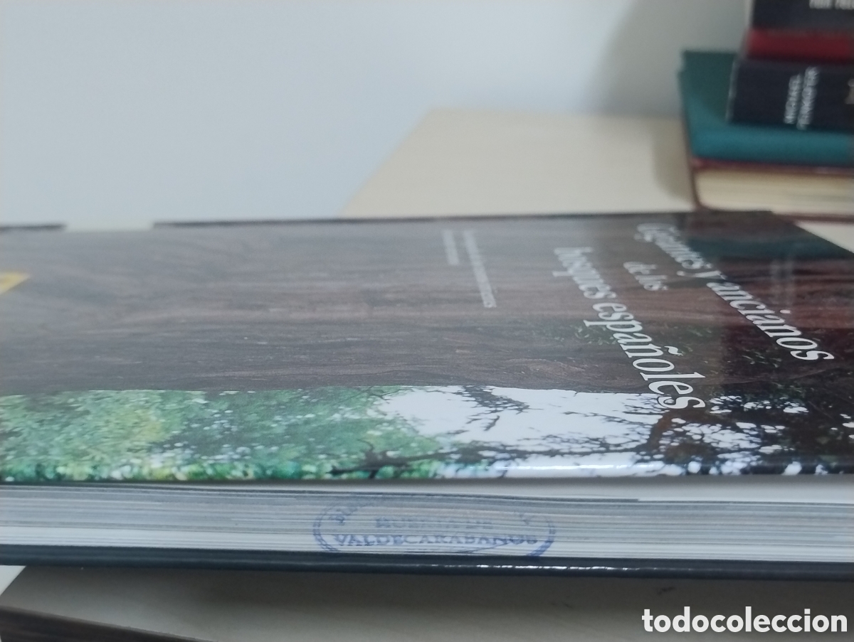 Libros de segunda mano: Gigantes y ancianos de los bosques espa&ntilde;oles &ndash; Libro ilustrado + CD - Foto 4