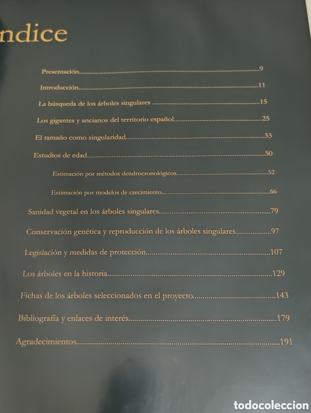 Libros de segunda mano: Gigantes y ancianos de los bosques espa&ntilde;oles &ndash; Libro ilustrado + CD - Foto 7