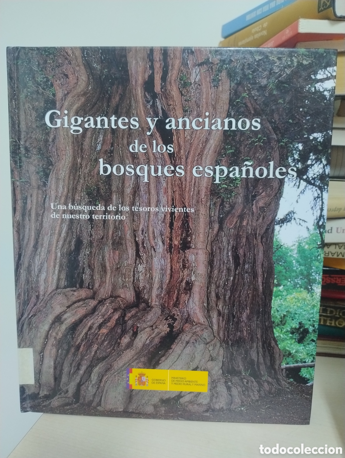 Libros de segunda mano: Gigantes y ancianos de los bosques espa&ntilde;oles &ndash; Libro ilustrado + CD - Foto 1